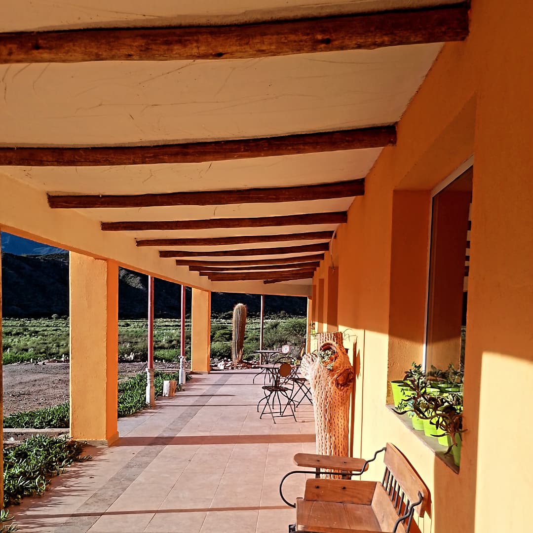 Galeria