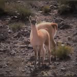 469517431_17970457043807111_5998005248320029245_n