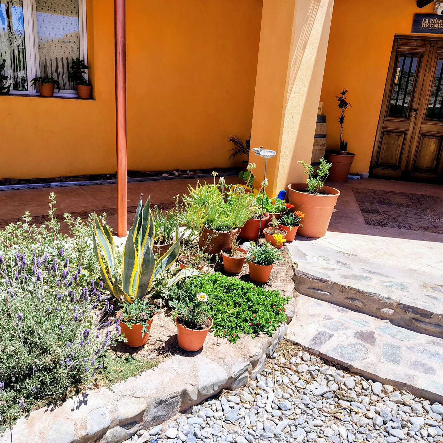 568244404_18006923321807111_8863975100758612932_n