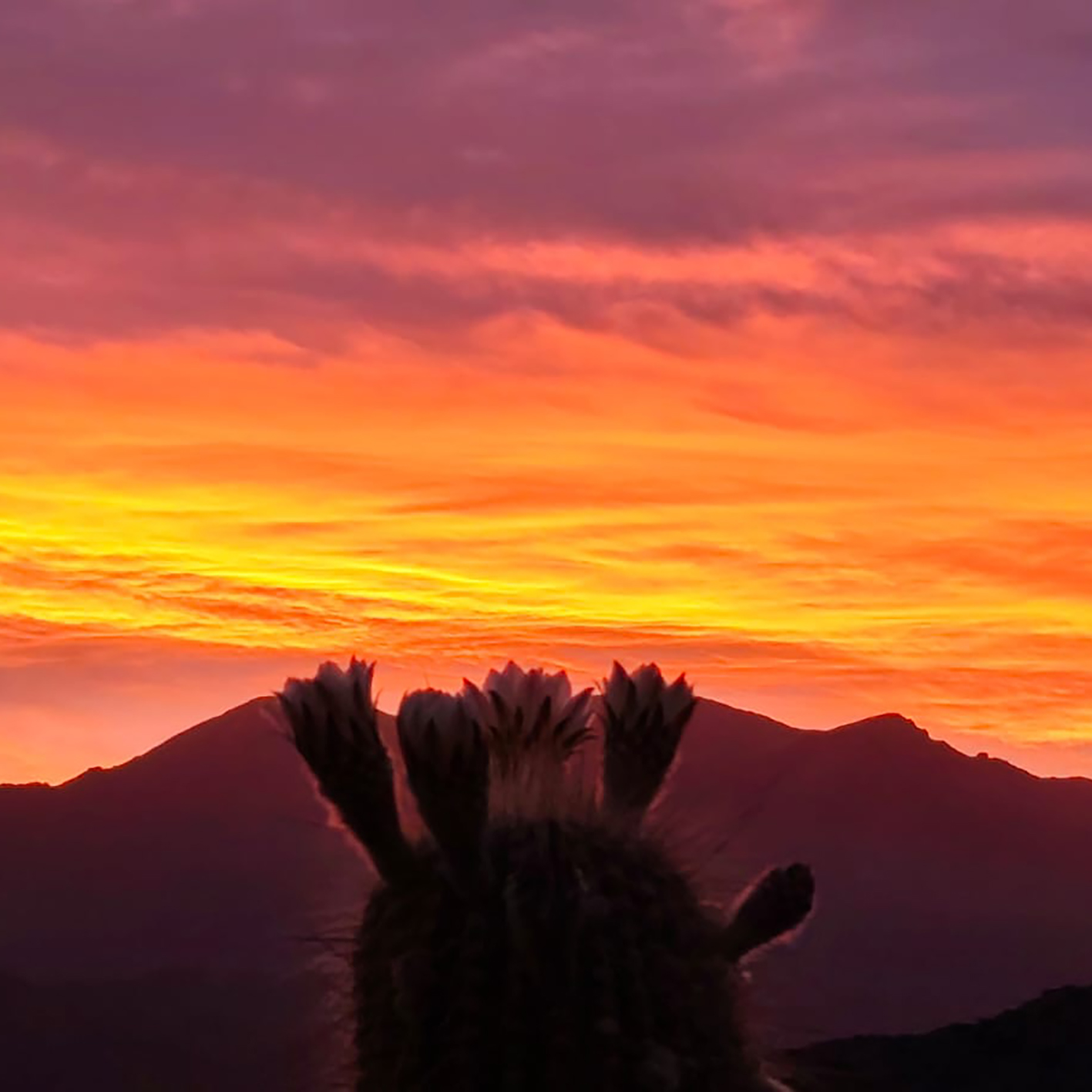 Amanecer